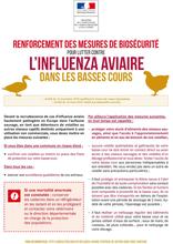 Lutte contre l'influenza aviaire H5N8 : nouvelles mesures